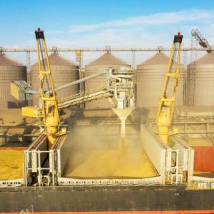 photo_2024-10-22_23-38-10