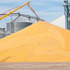 photo_2024-10-22_23-38-11