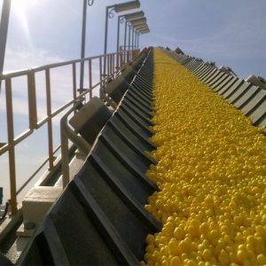 photo_2024-10-22_23-38-12